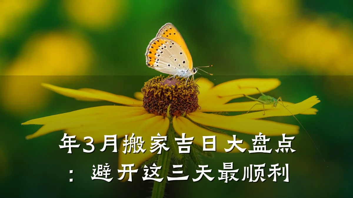 年3月搬家吉日大盘点:避开这三天最顺利