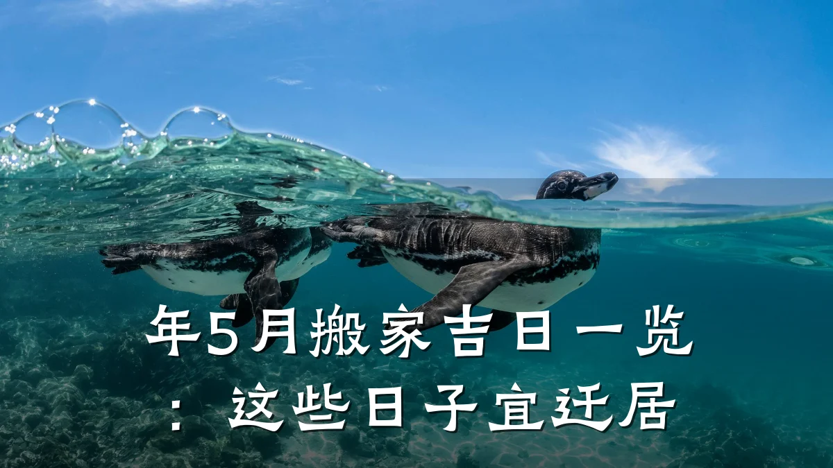 年5月搬家吉日一览:这些日子宜迁居
