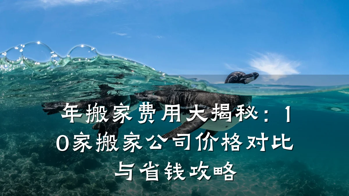 年搬家费用大揭秘:10家搬家公司价格对比与省钱攻略