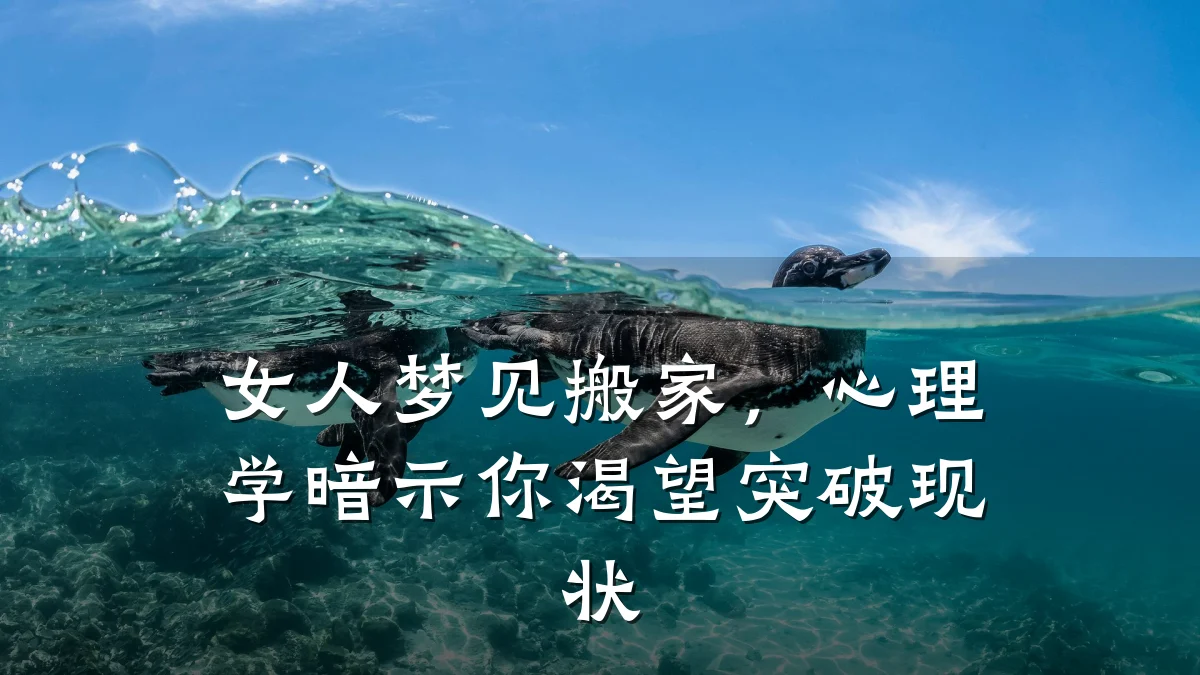 女人梦见搬家,心理学暗示你渴望突破现状