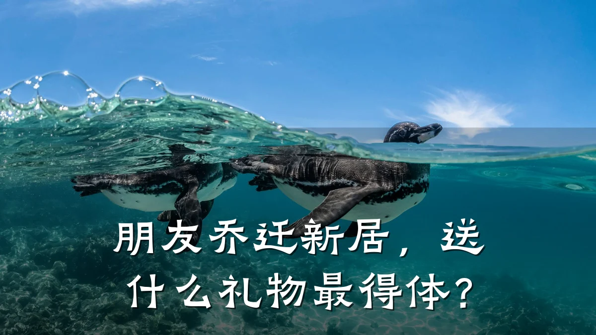 朋友乔迁新居,送什么礼物最得体?
