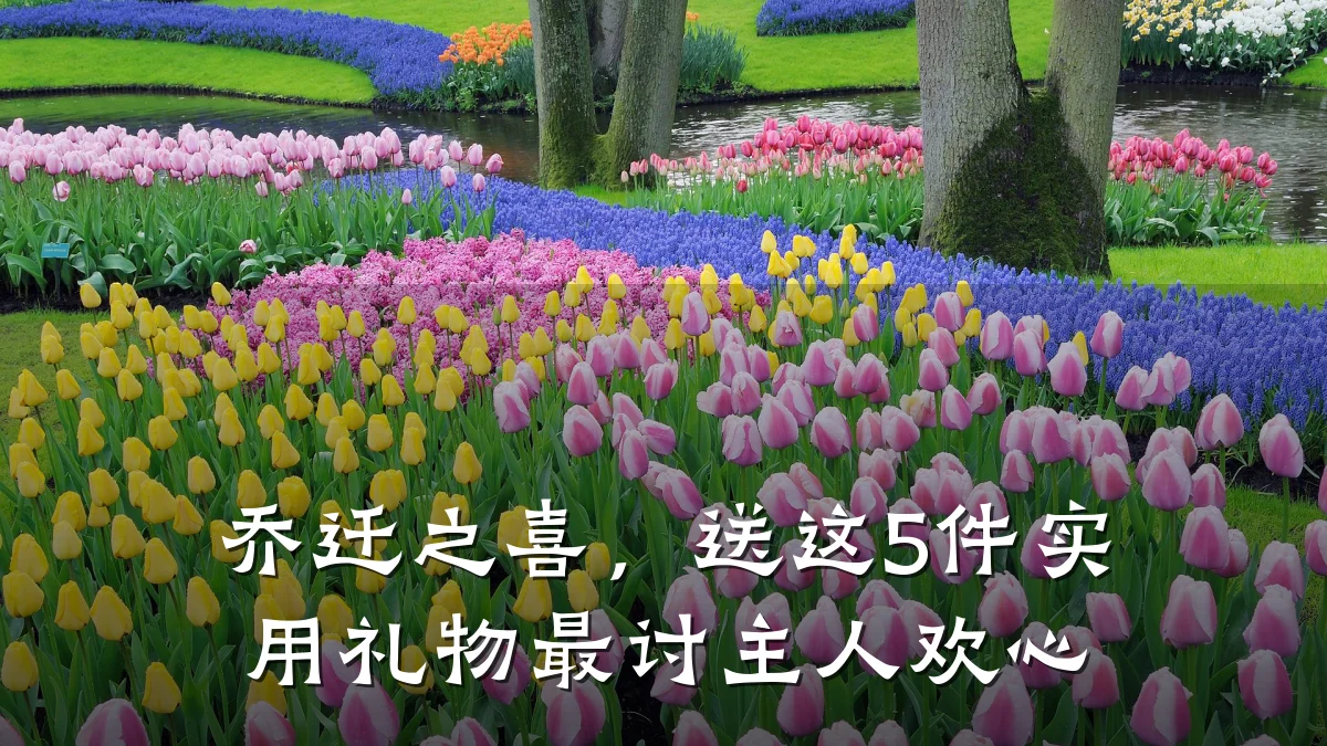乔迁之喜,送这5件实用礼物最讨主人欢心