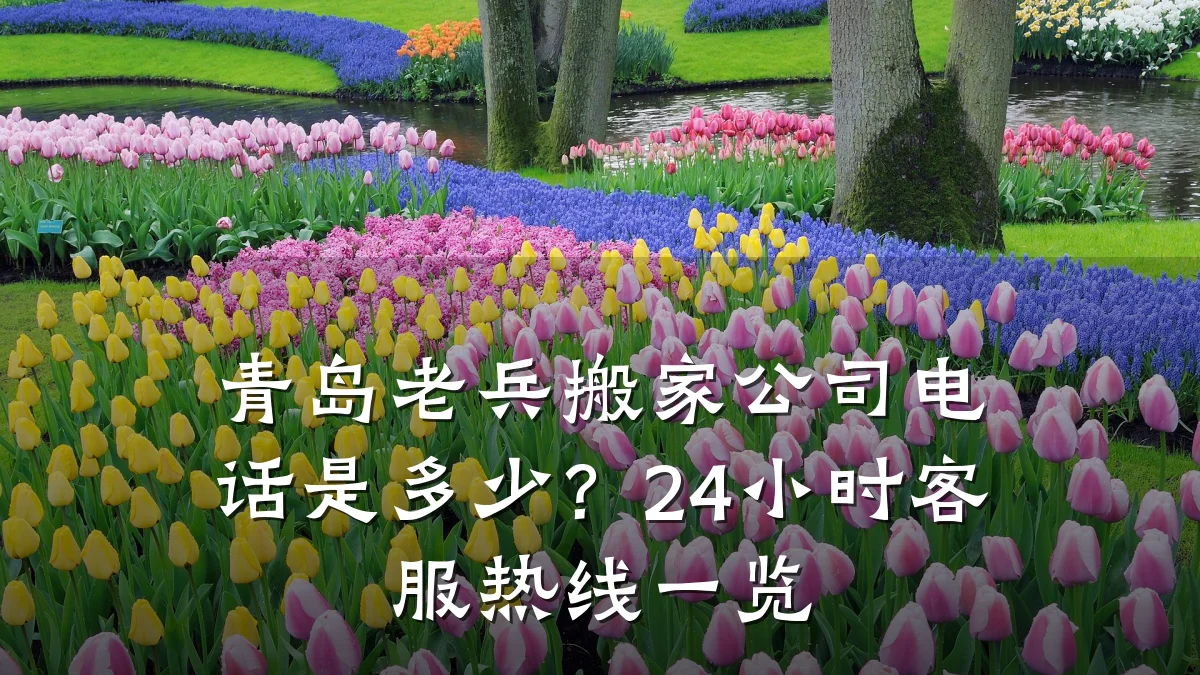 青岛老兵搬家公司电话是多少?24小时客服热线一览