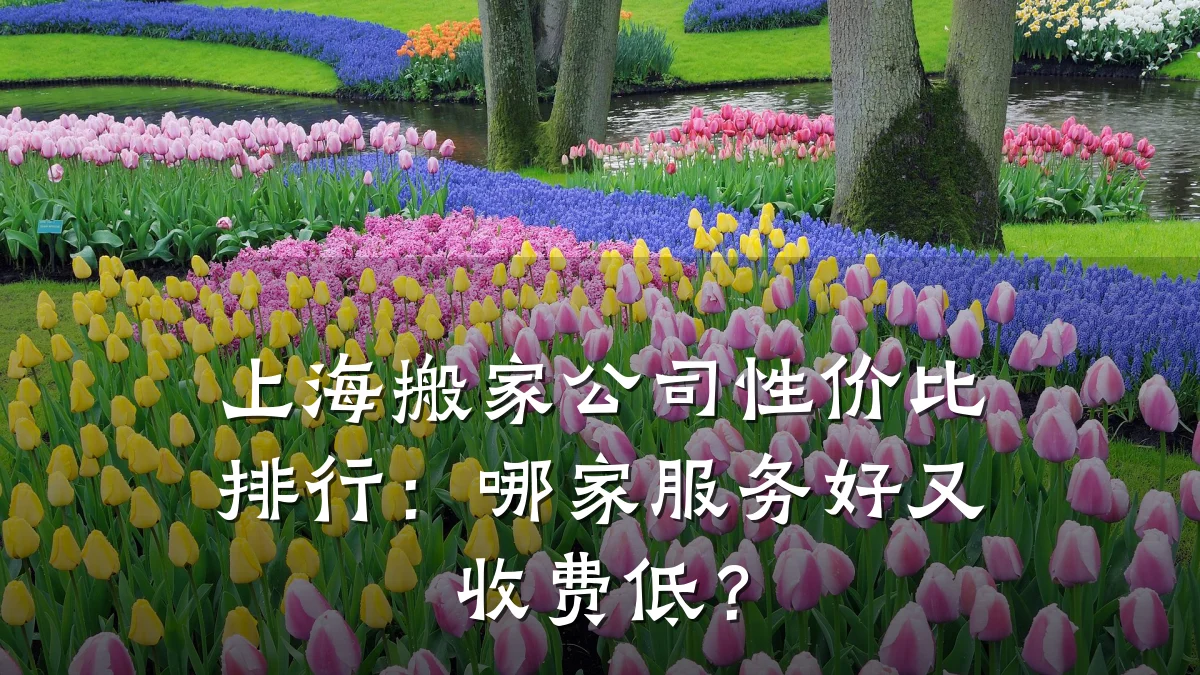 上海搬家公司性价比排行:哪家服务好又收费低?