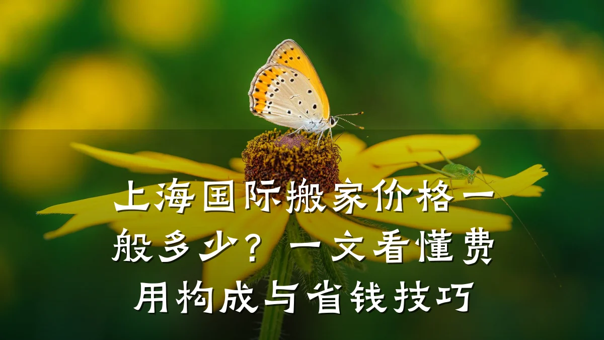 上海国际搬家价格一般多少?一文看懂费用构成与省钱技巧