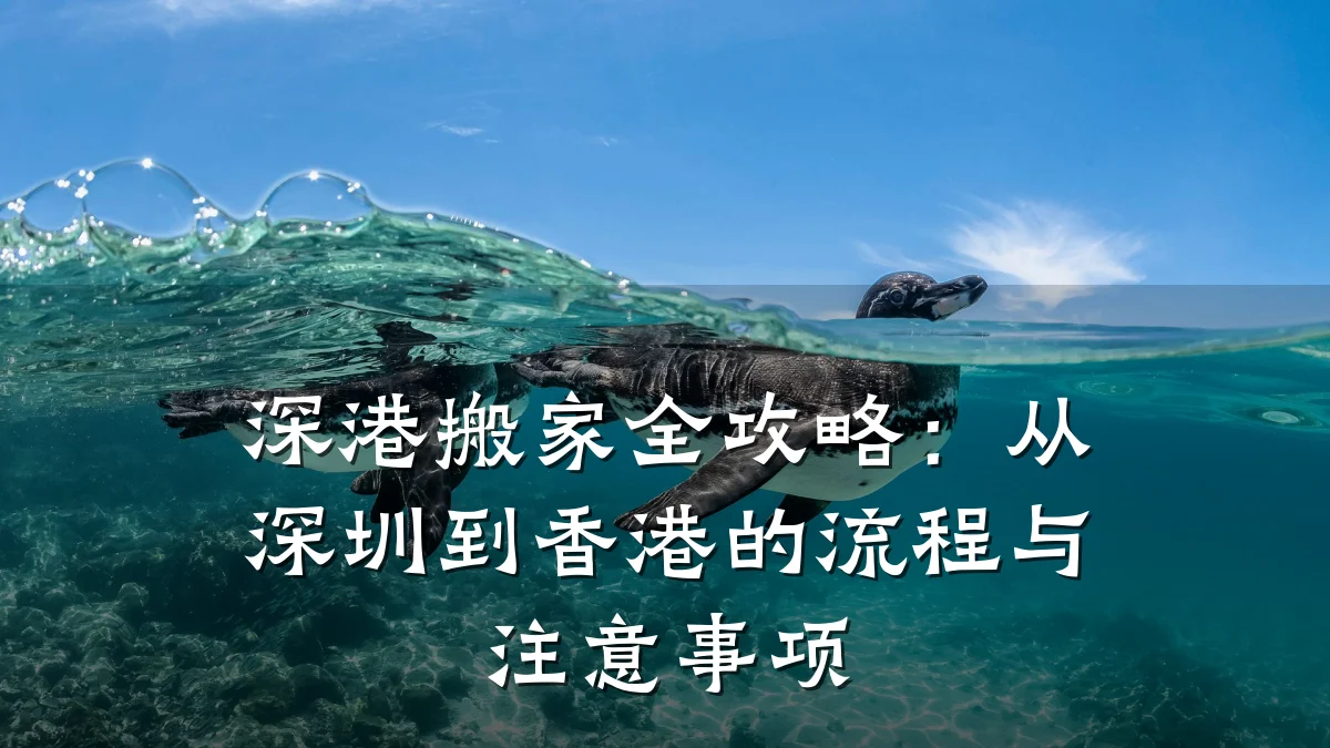 深港搬家全攻略:从深圳到香港的流程与注意事项