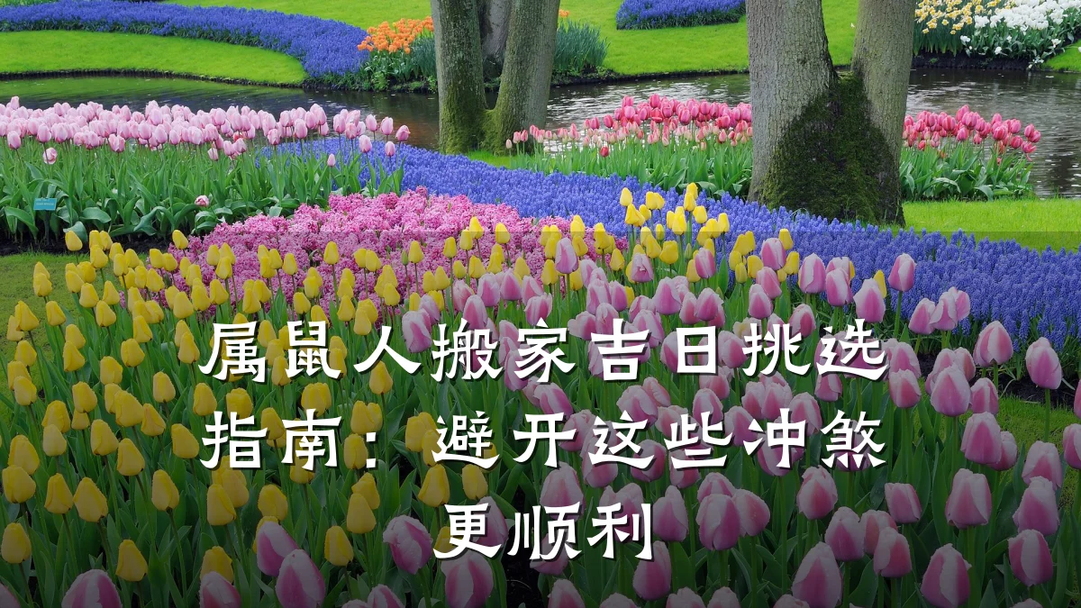 属鼠人搬家吉日挑选指南:避开这些冲煞更顺利