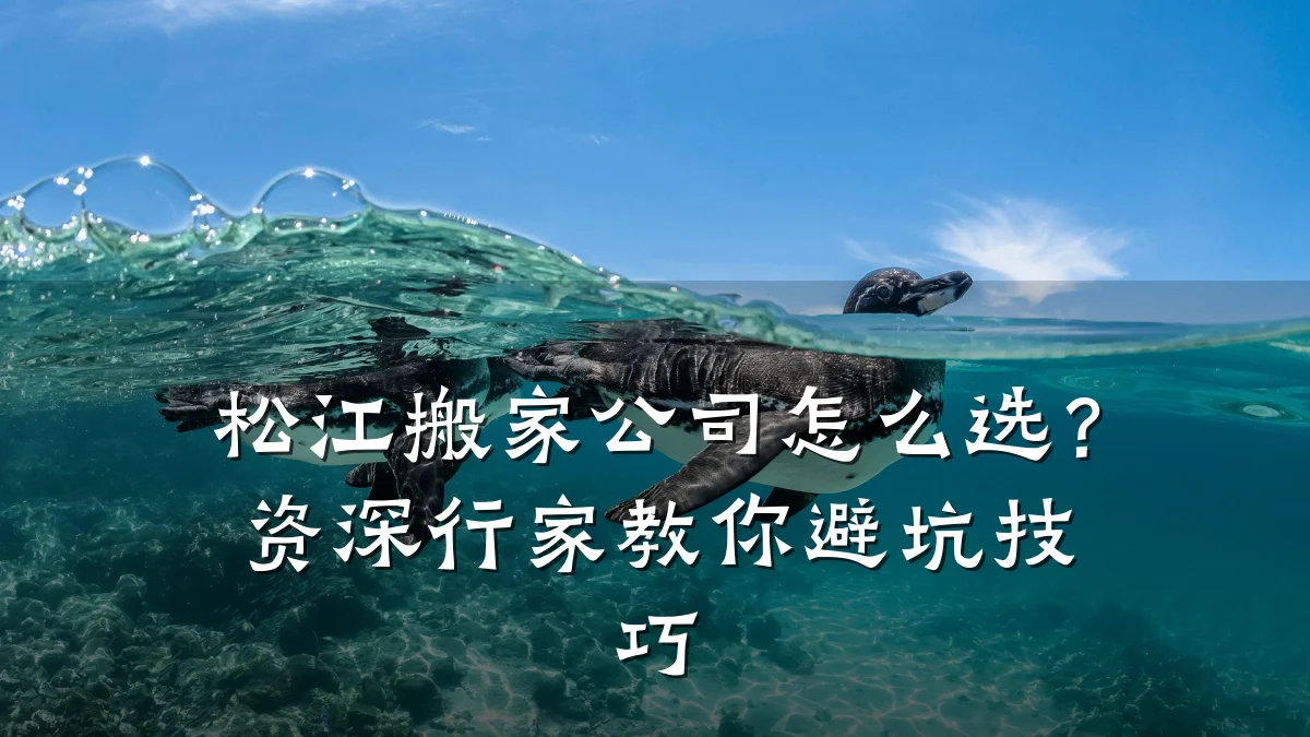 松江搬家公司怎么选?资深行家教你避坑技巧