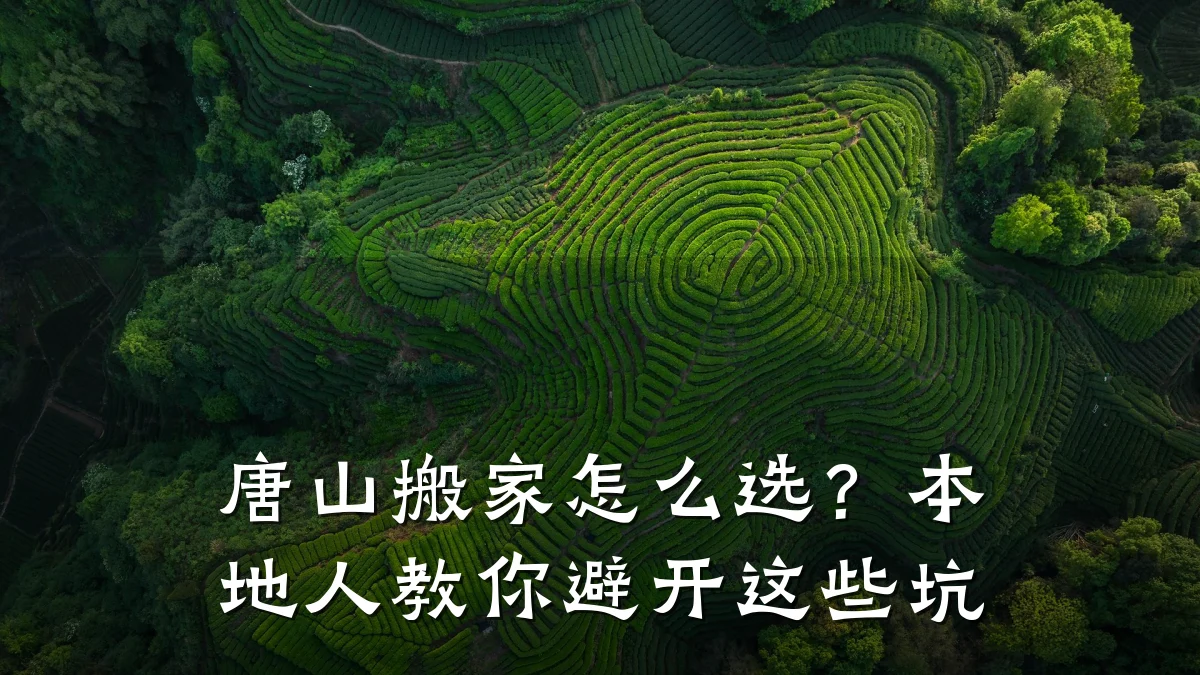 唐山搬家怎么选?本地人教你避开这些坑