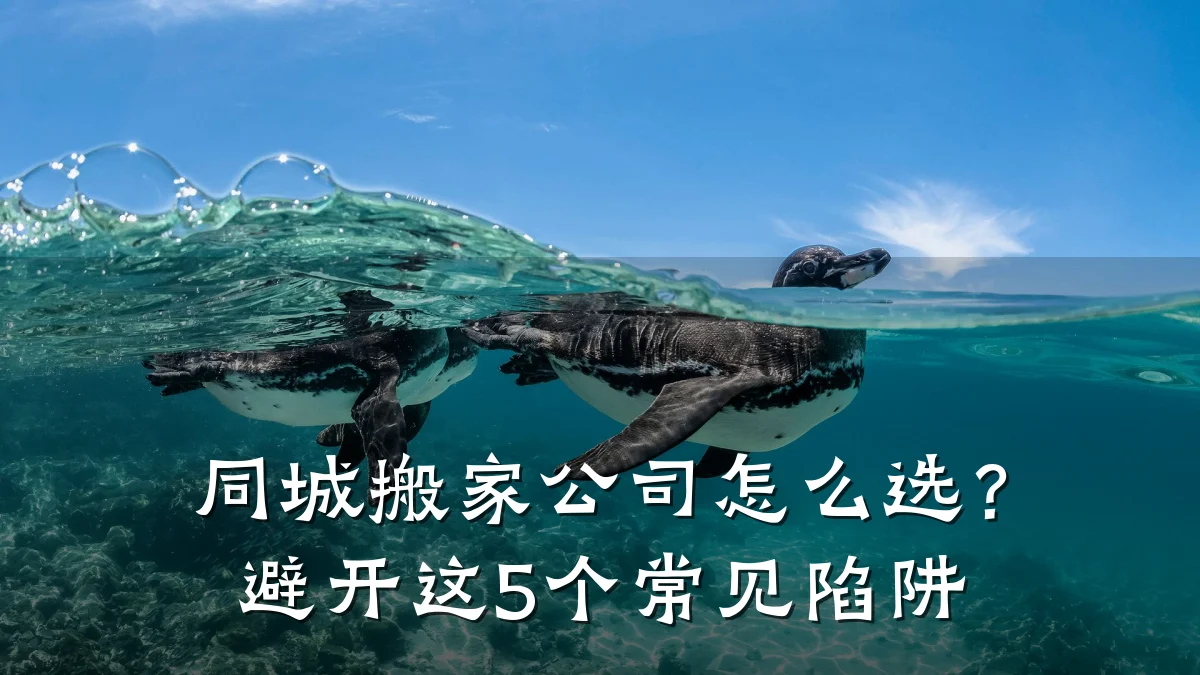 同城搬家公司怎么选?避开这5个常见陷阱