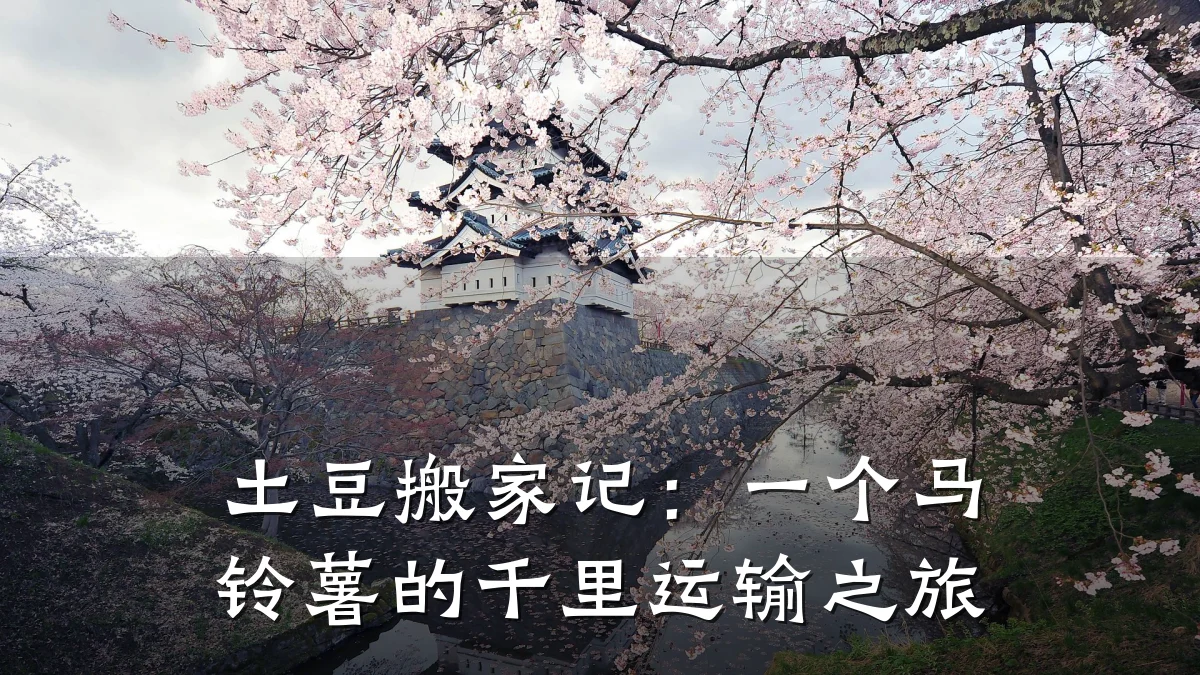 土豆搬家记:一个马铃薯的千里运输之旅