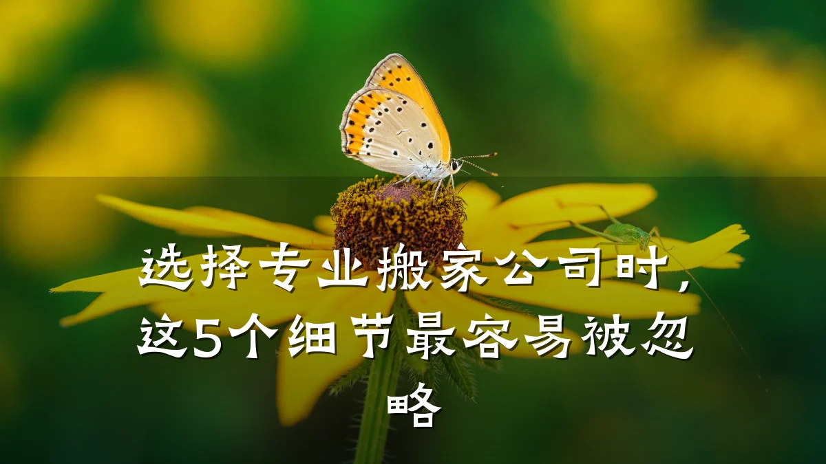 选择专业搬家公司时,这5个细节最容易被忽略