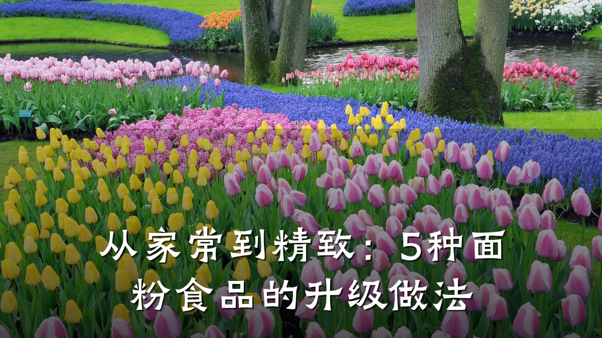 从家常到精致:5种面粉食品的升级做法