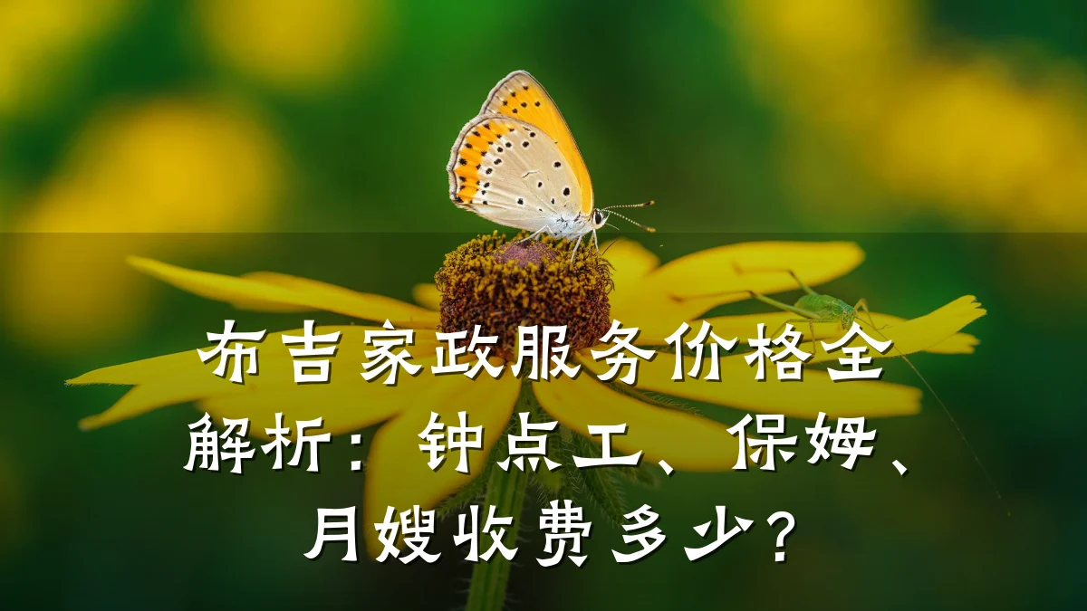 布吉家政服务价格全解析：钟点工、保姆、月嫂收费多少？
