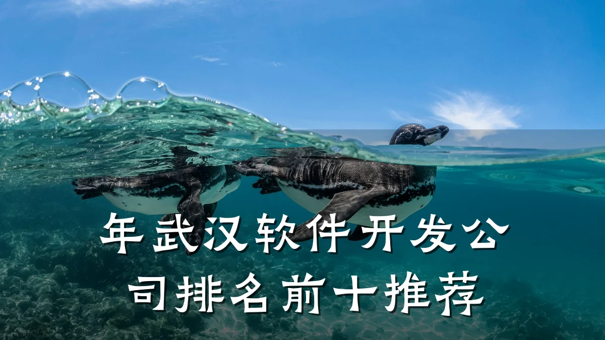 年武汉软件开发公司排名前十推荐