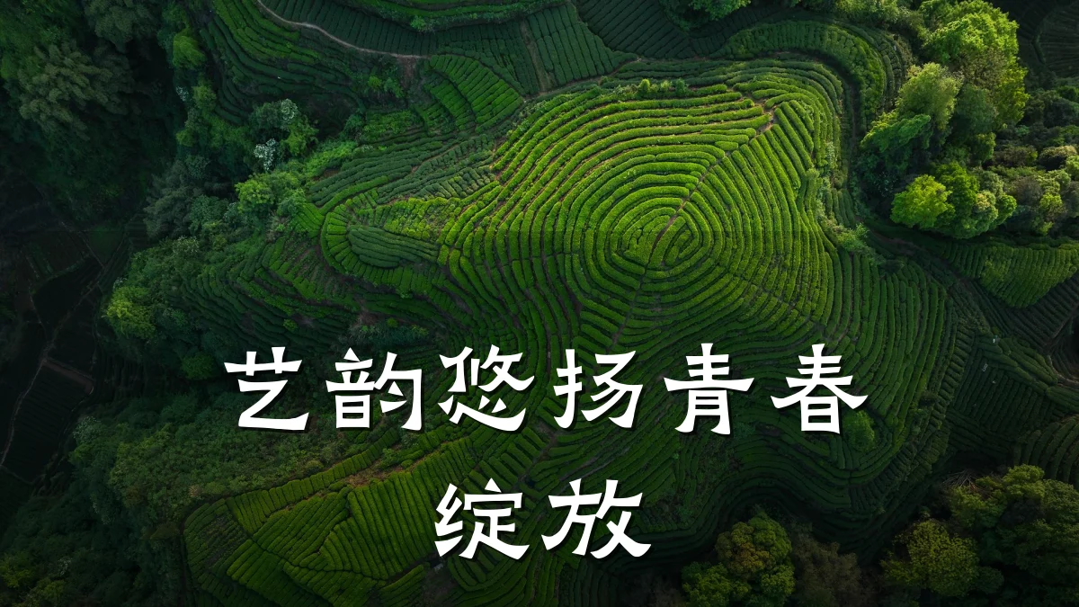 艺韵悠扬青春绽放
