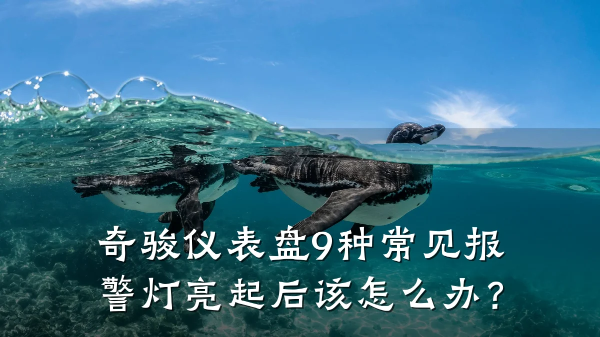 奇骏仪表盘9种常见报警灯亮起后该怎么办?