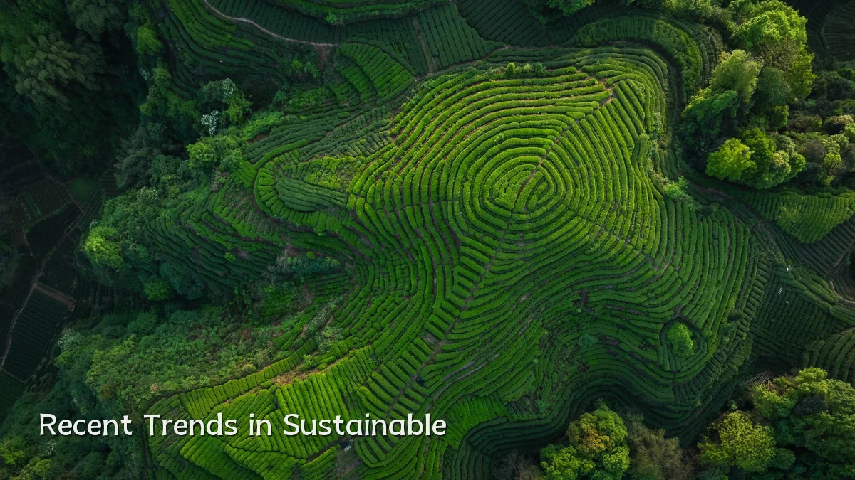 Recent Trends in Sustainable