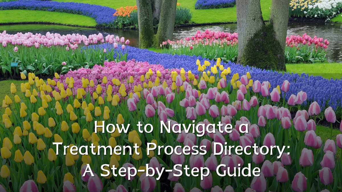 How to Navigate a Treatment Process Directory: A Step-by-Step Guide