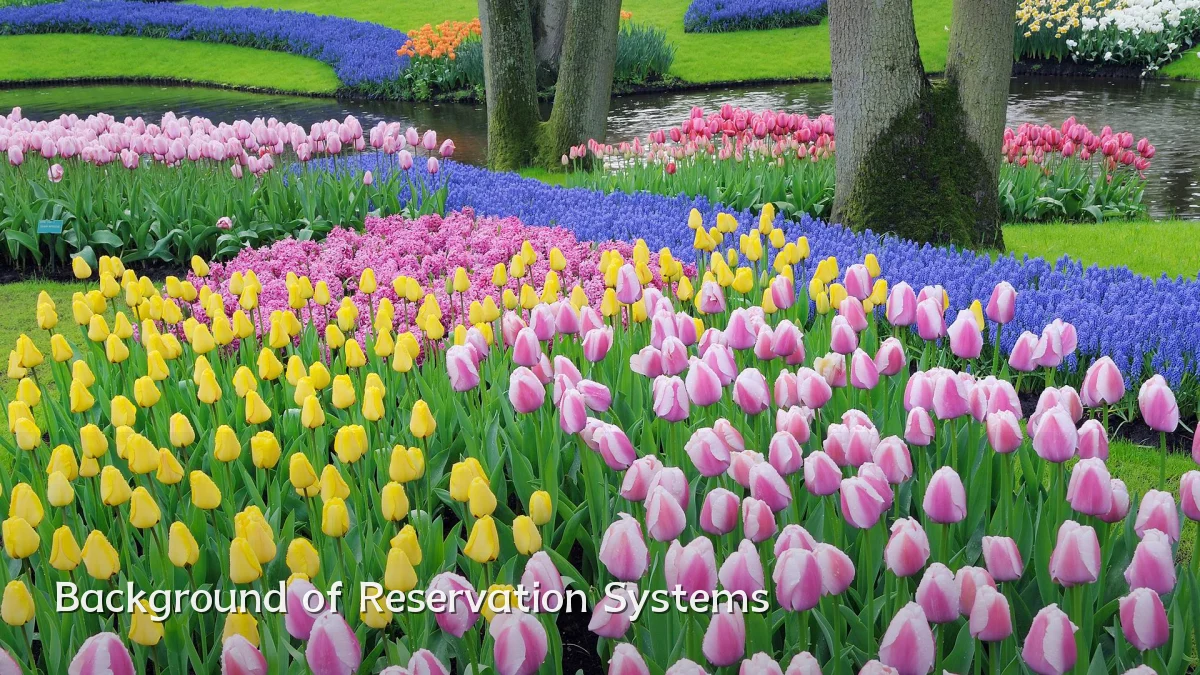 Background of Reservation Systems