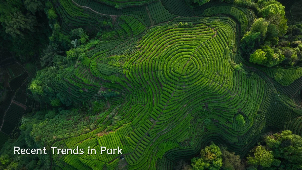 Recent Trends in Park