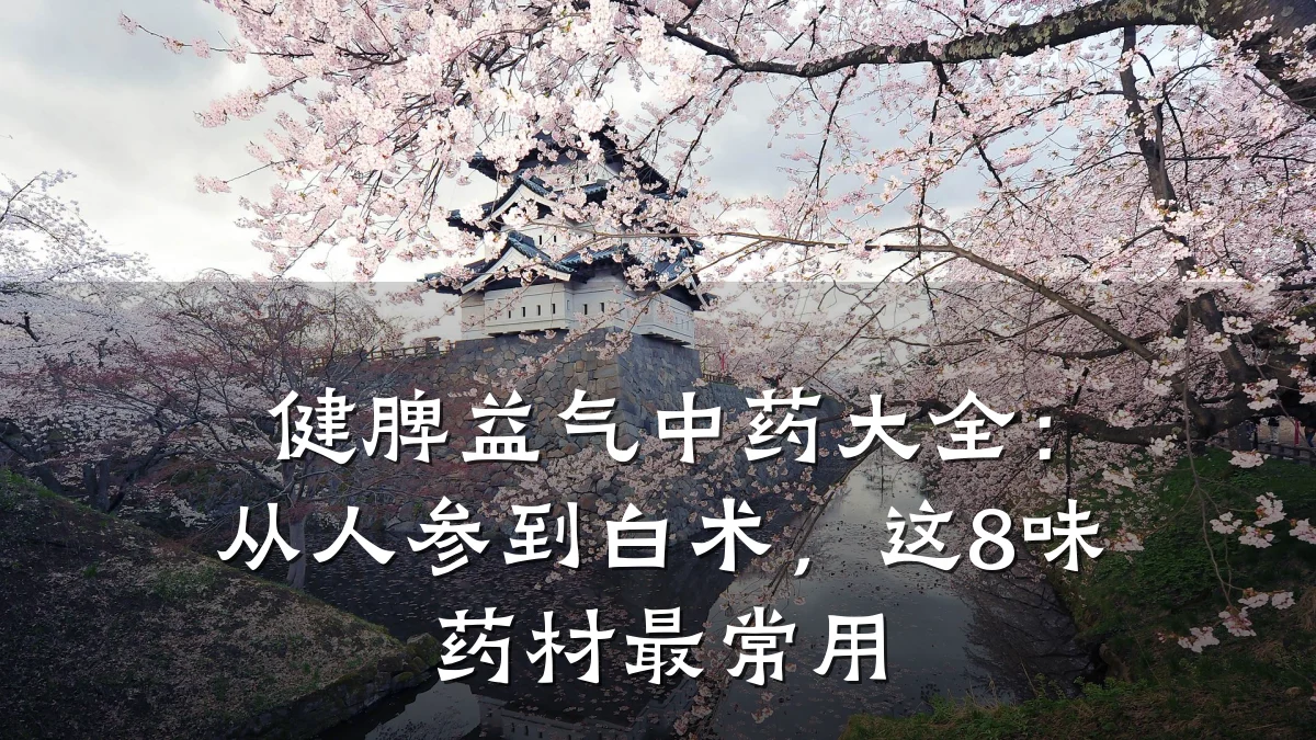 健脾益气中药大全：从人参到白术，这8味药材最常用