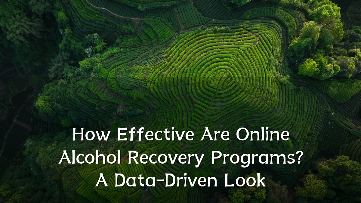 How Effective Are Online Alcohol Recovery Programs? A Data-Driven Look