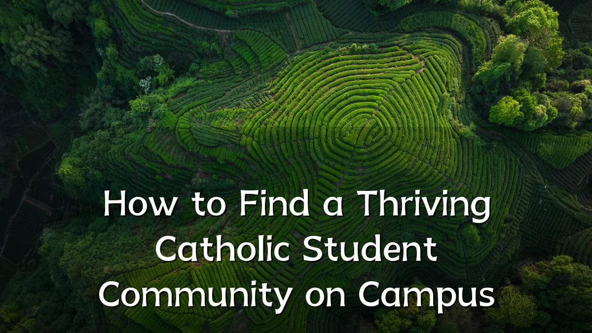 How to Find a Thriving Catholic Student Community on Campus