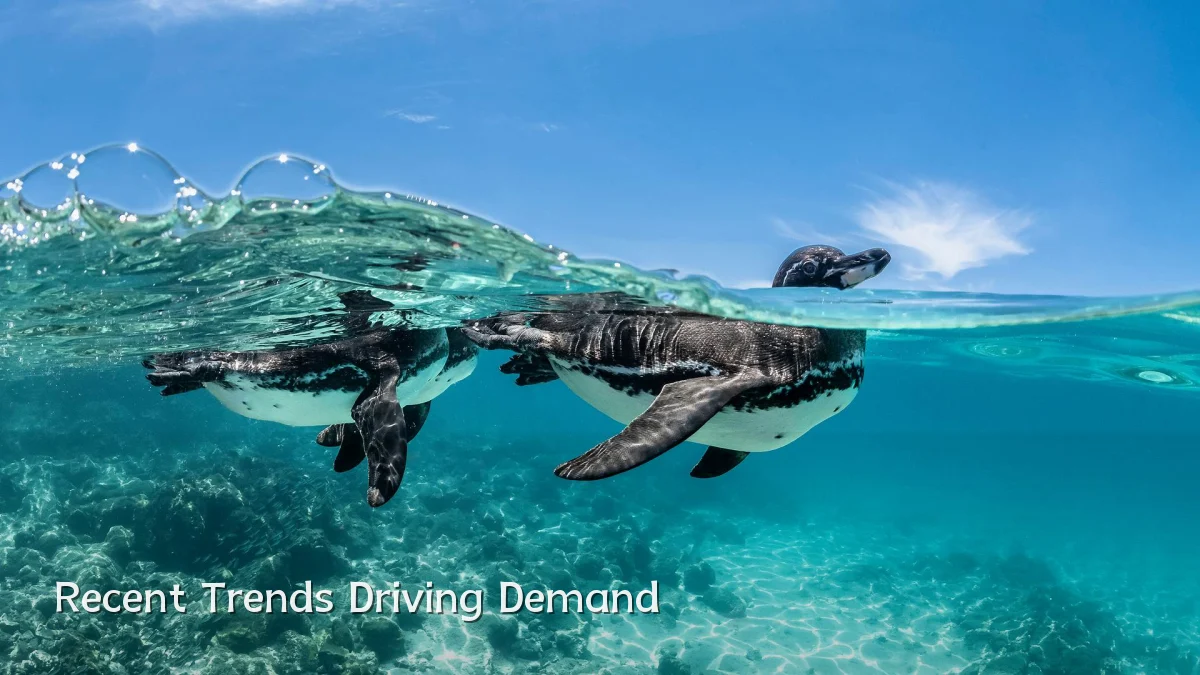 Recent Trends Driving Demand