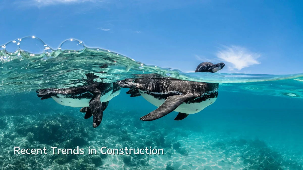 Recent Trends in Construction