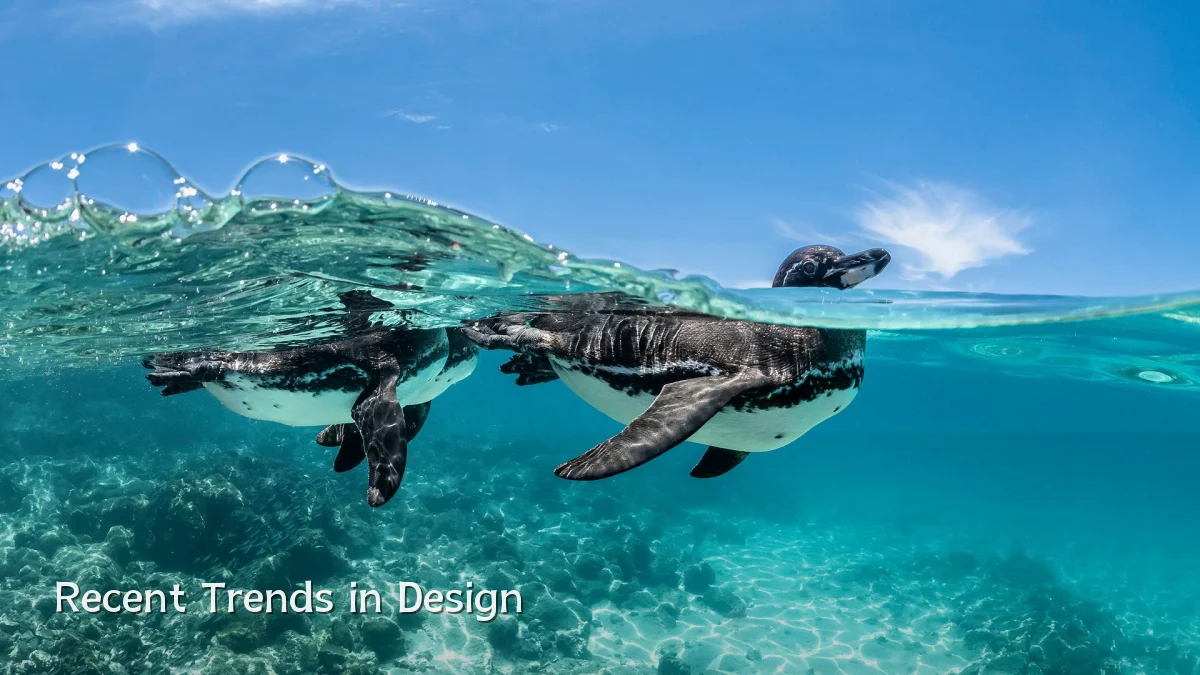 Recent Trends in Design