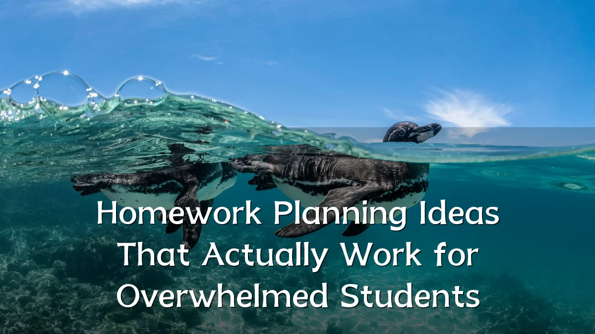 Homework Planning Ideas That Actually Work for Overwhelmed Students