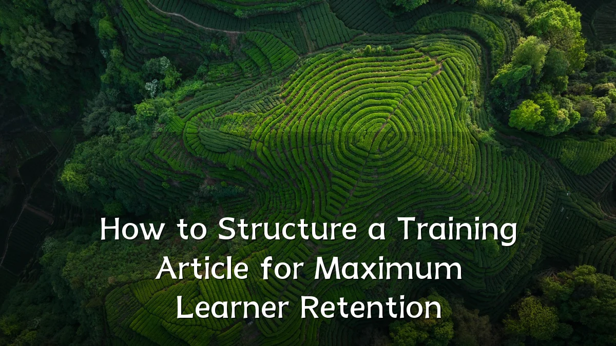 How to Structure a Training Article for Maximum Learner Retention