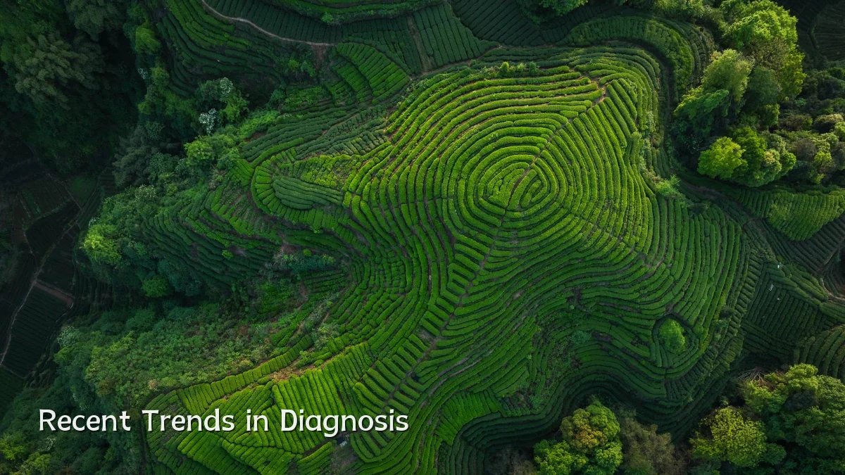 Recent Trends in Diagnosis