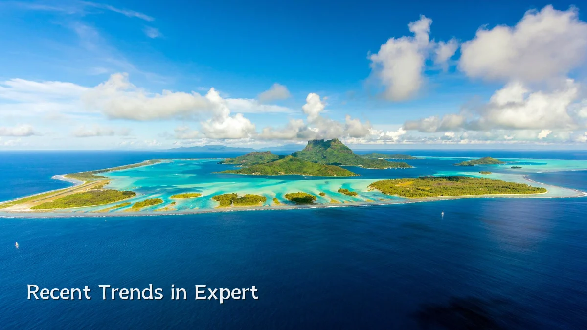 Recent Trends in Expert
