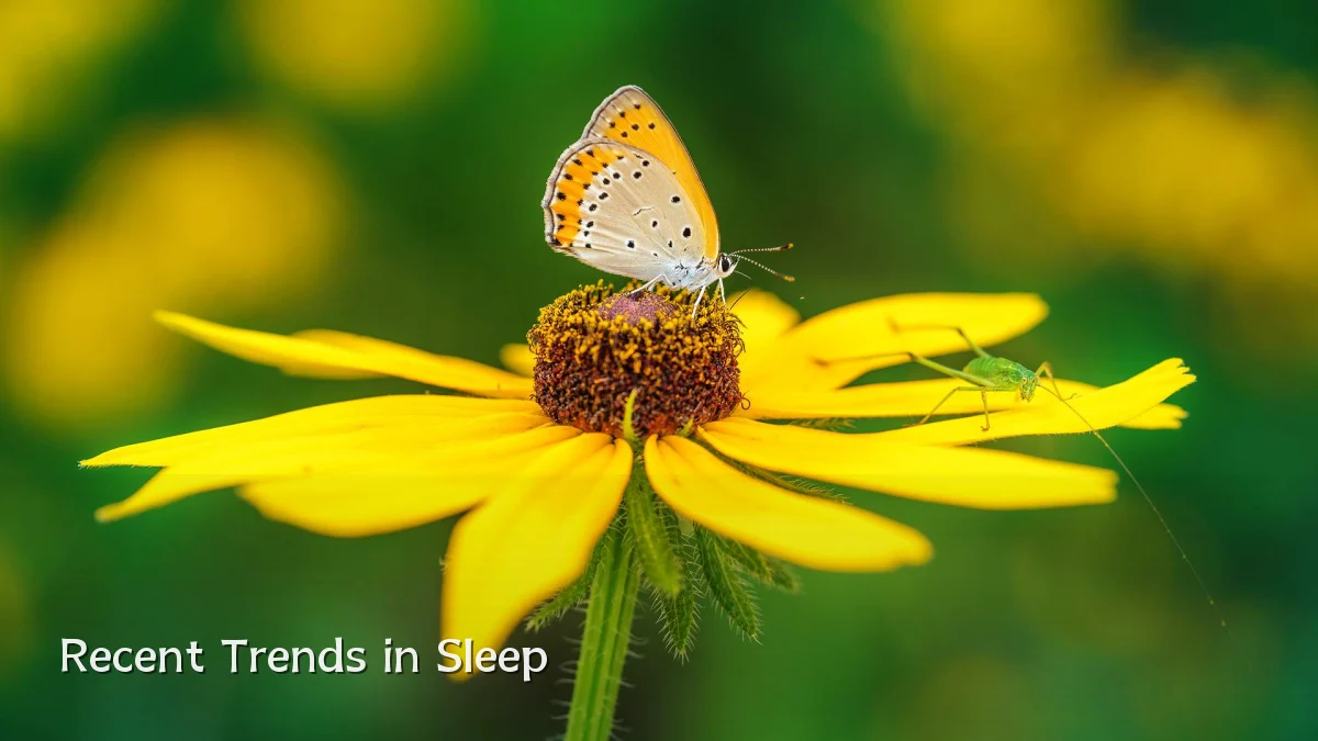Recent Trends in Sleep
