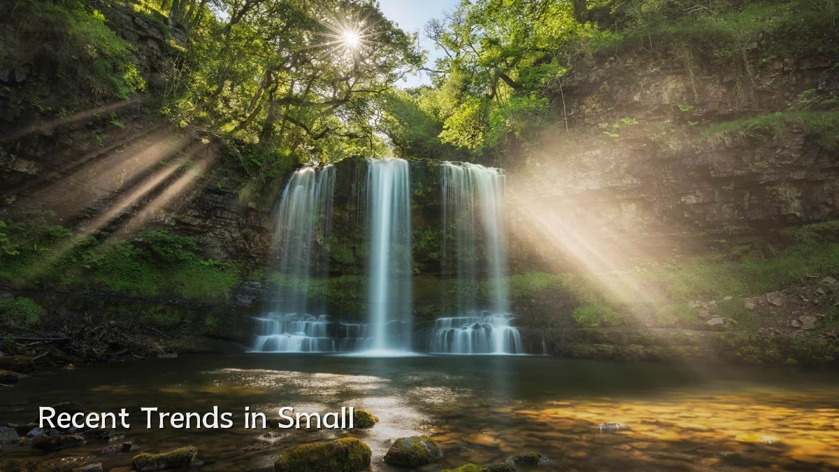 Recent Trends in Small