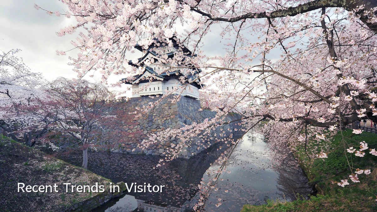 Recent Trends in Visitor