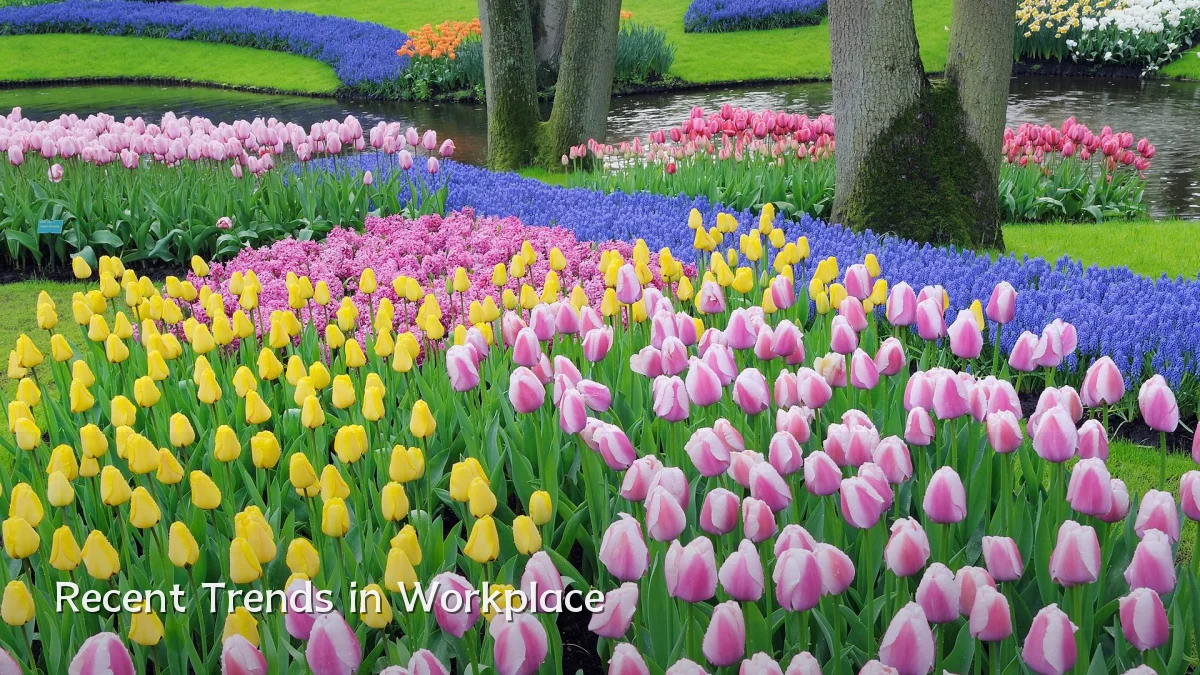 Recent Trends in Workplace