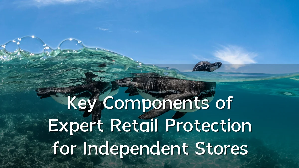 Key Components of Expert Retail Protection for Independent Stores