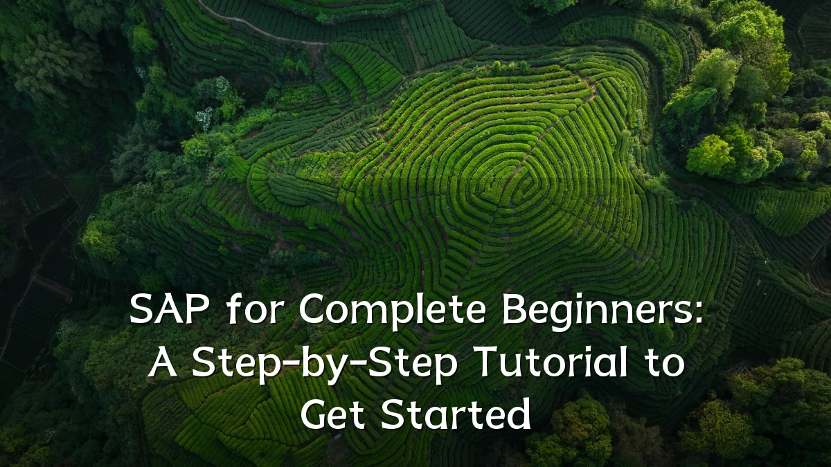SAP for Complete Beginners: A Step-by-Step Tutorial to Get Started