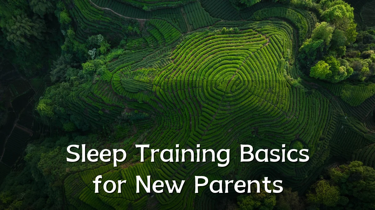 Sleep Training Basics for New Parents