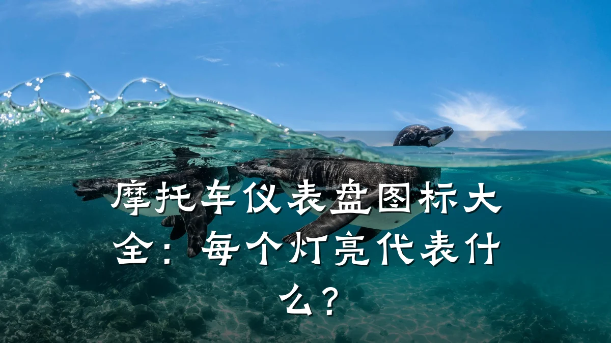 摩托车仪表盘图标大全:每个灯亮代表什么?