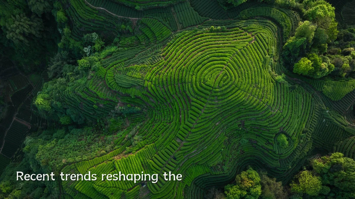 Recent trends reshaping the