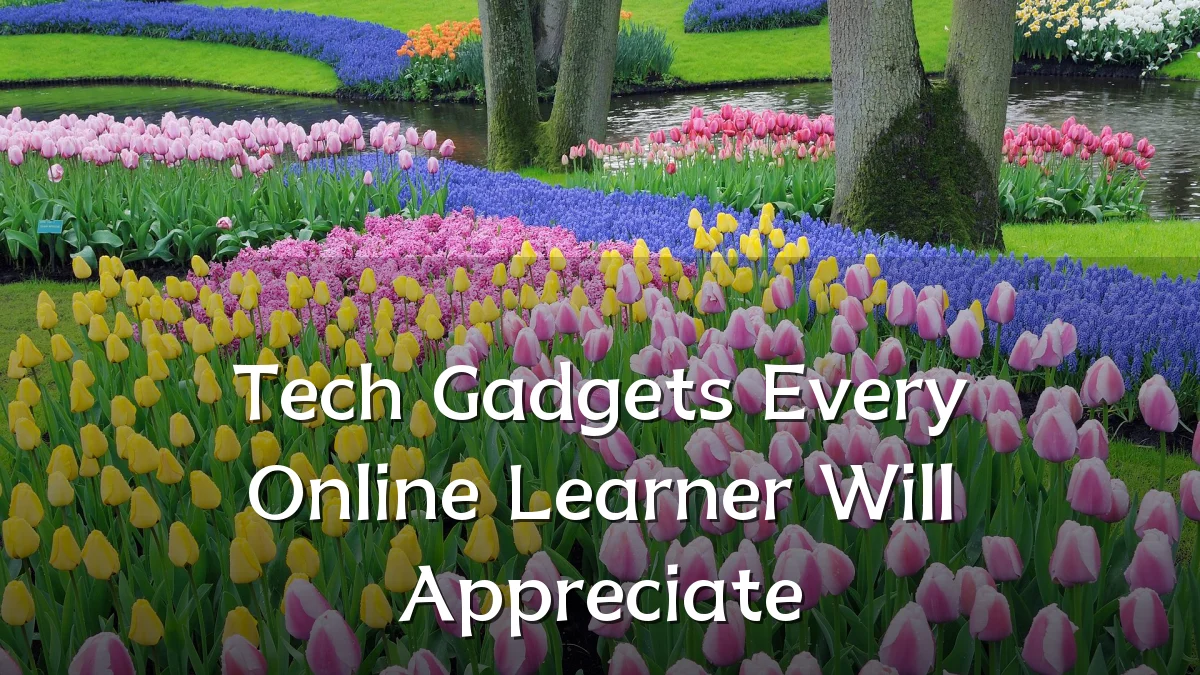 Tech Gadgets Every Online Learner Will Appreciate