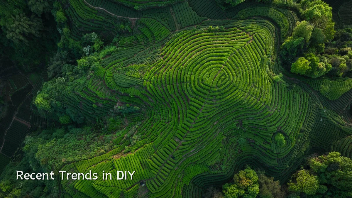 Recent Trends in DIY