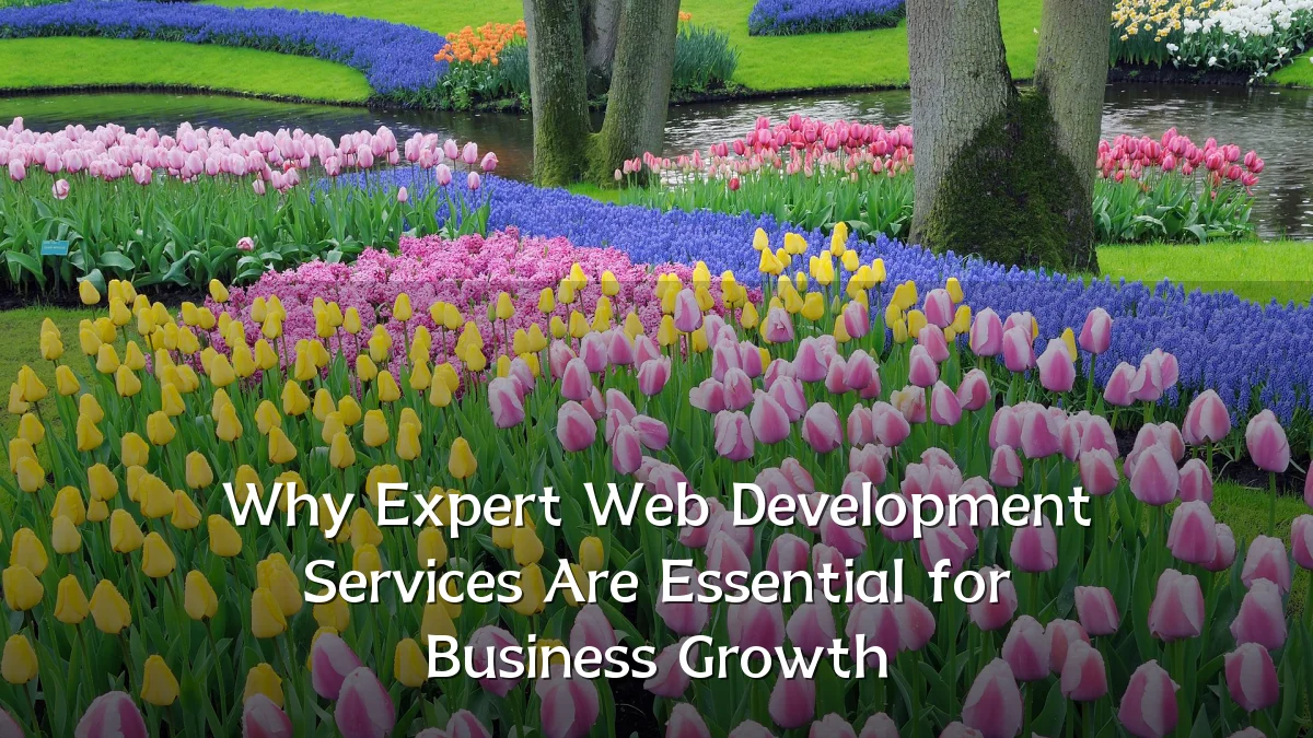 Why Expert Web Development Services Are Essential for Business Growth